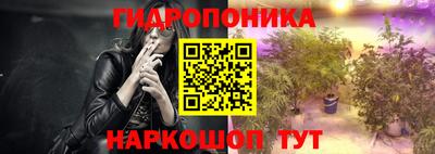 стаф Славгород