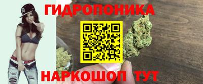 стаф Славгород