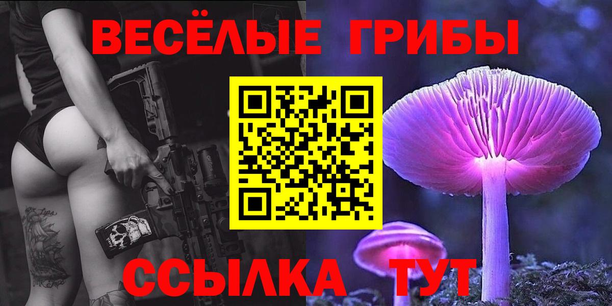 Псилоцибиновые грибы GOLDEN TEACHER  Вход с VPN  Мыски 